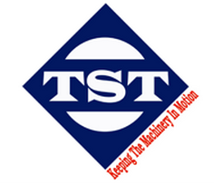 Logo công ty - Công Ty TNHH Xuất Nhập Khẩu TST